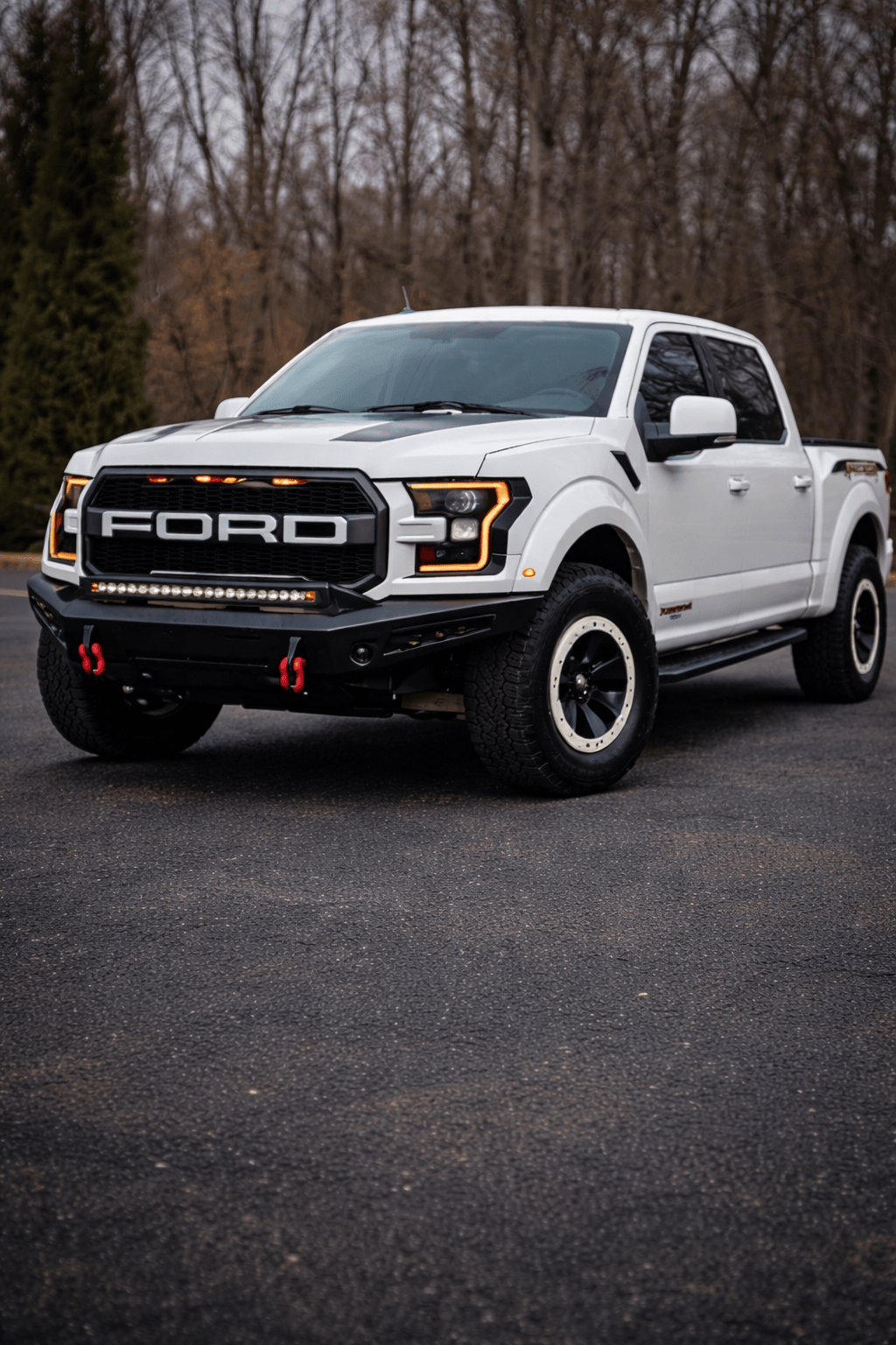 2018 Ford F-150 Raptor