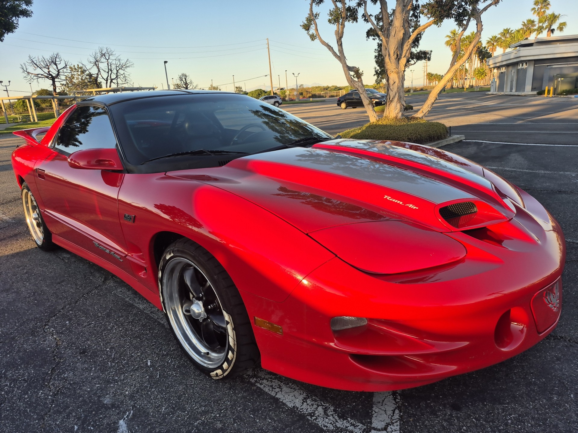 2000 Pontiac Firebird Formula/Trans Am WS6