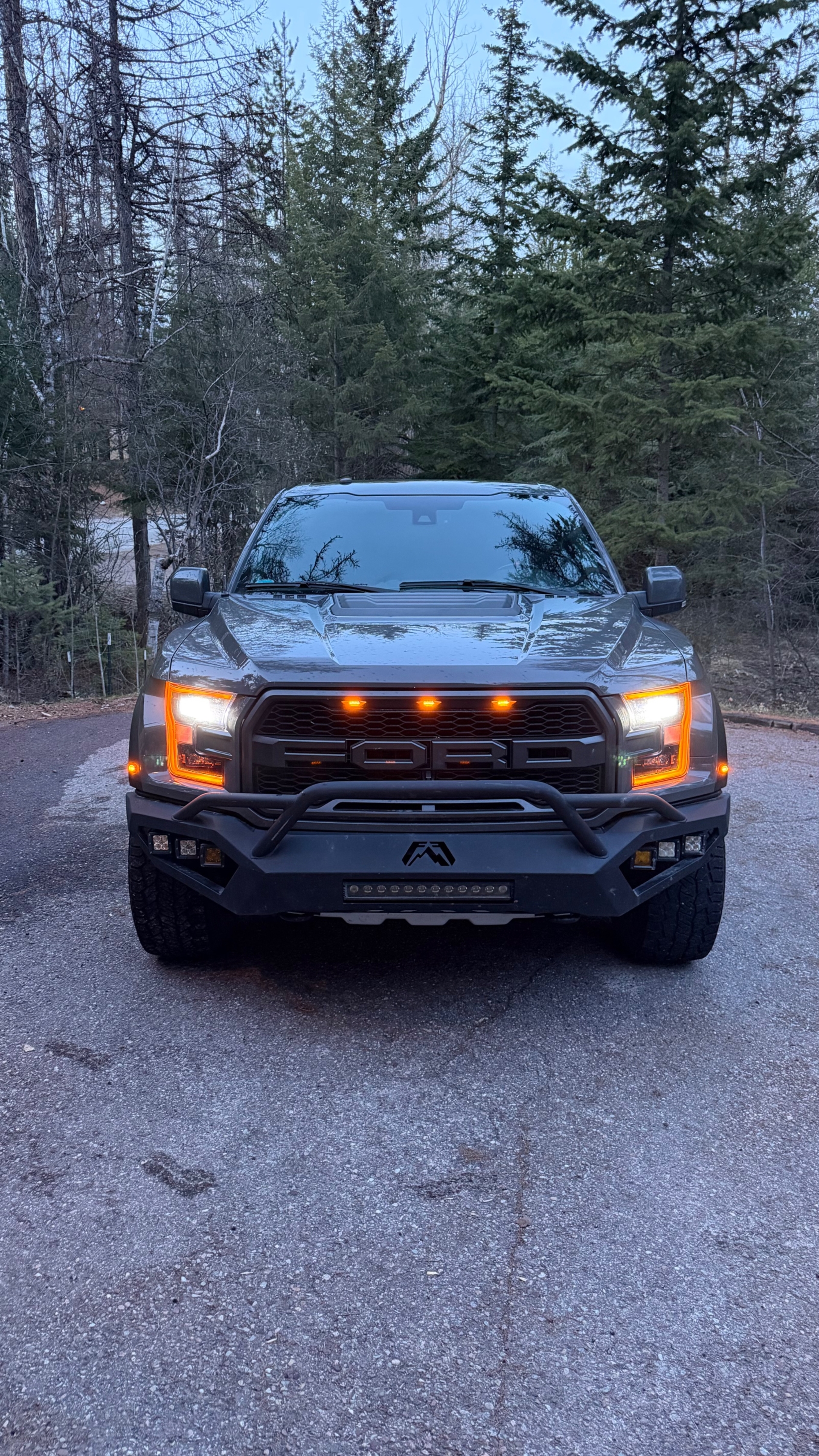 2018 Ford F-150 Raptor