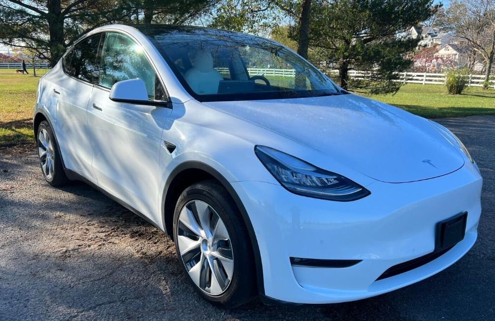 Tesla_Model Y 