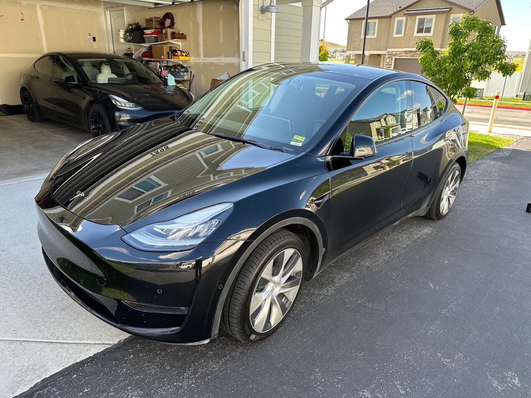 Tesla_Model Y 