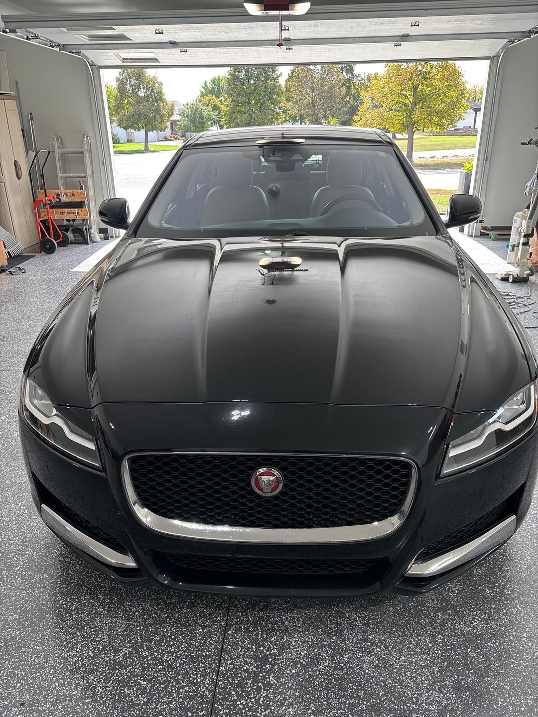 JAGUAR_XF 