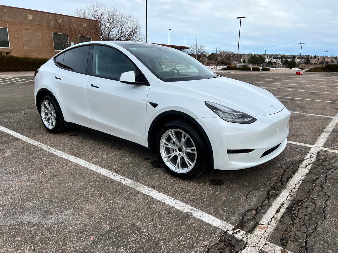 Tesla_Model Y 