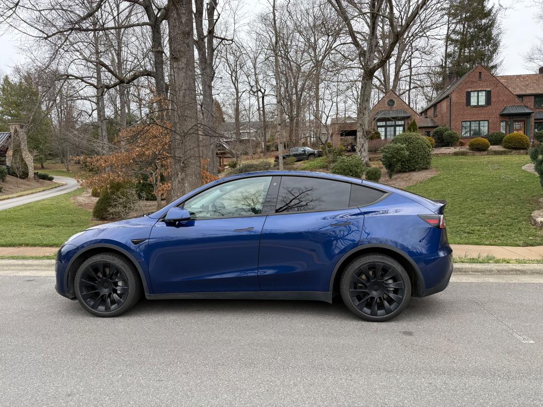 Tesla_Model Y 