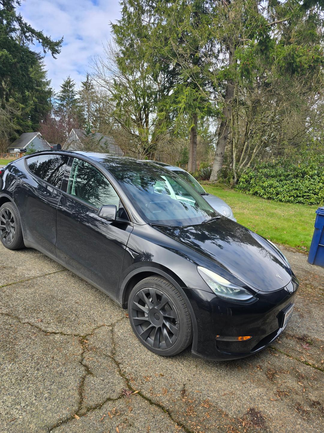 Tesla_Model Y 