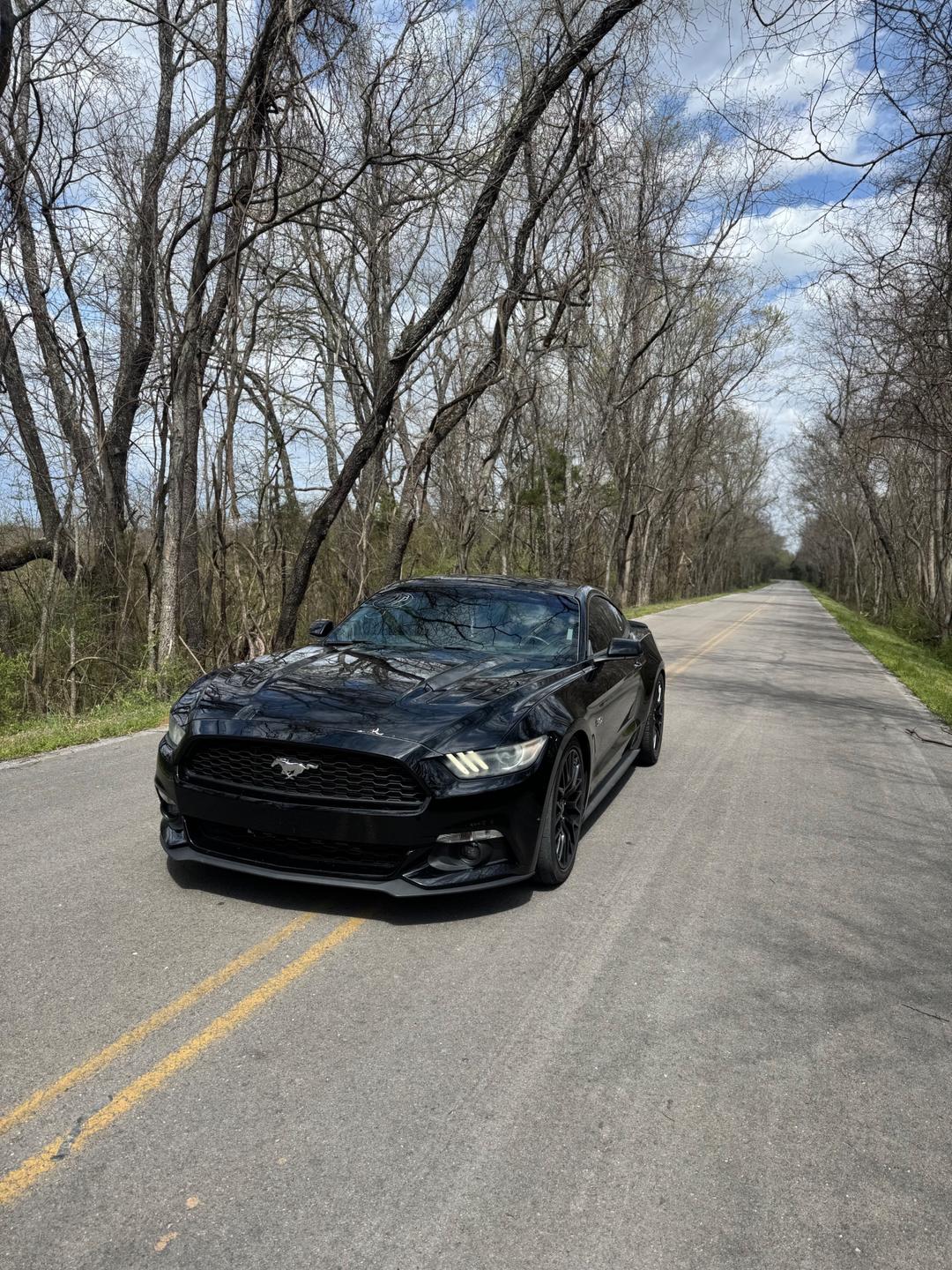 Ford_Mustang 