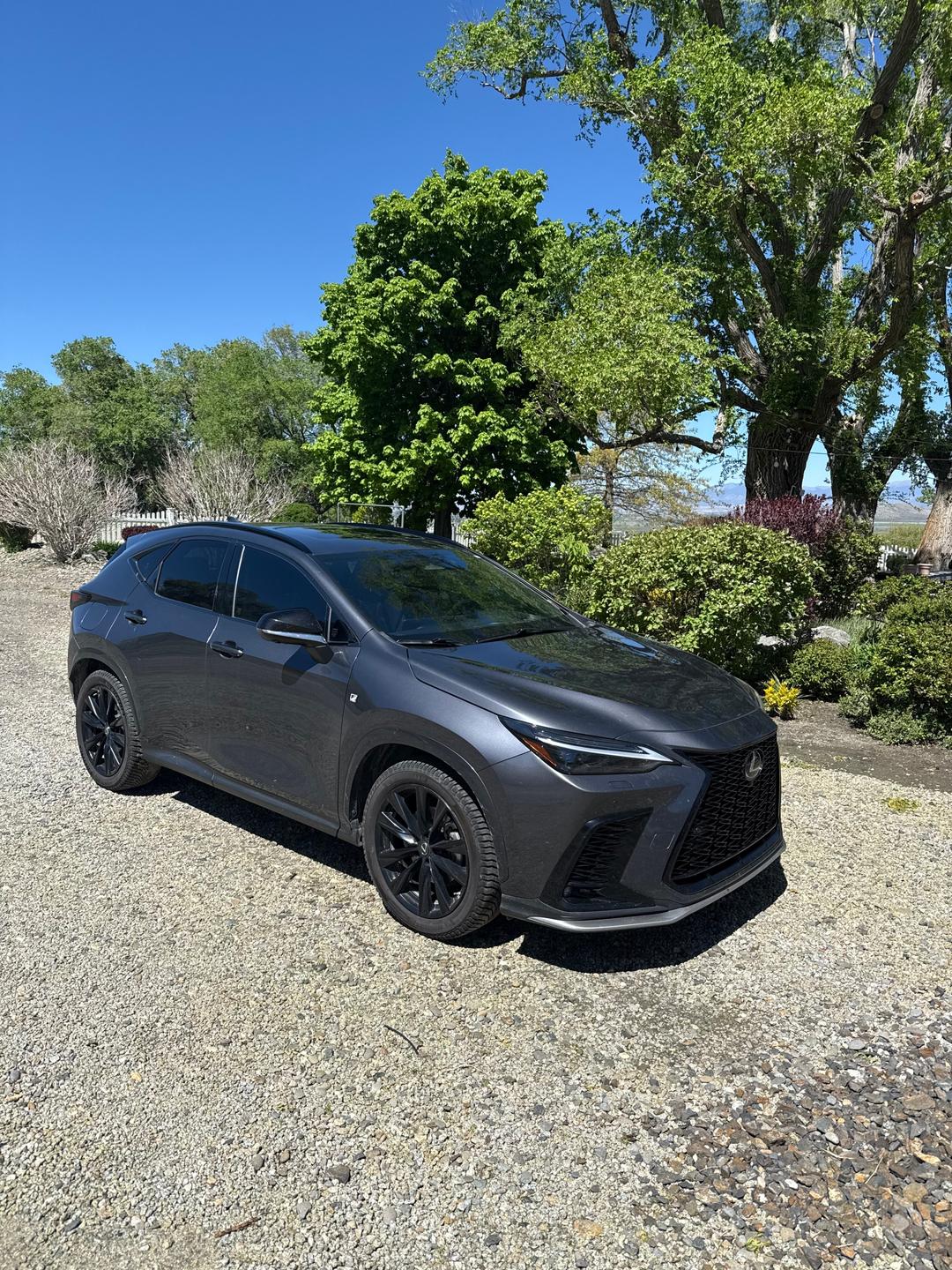 Lexus_NX 450h+ 