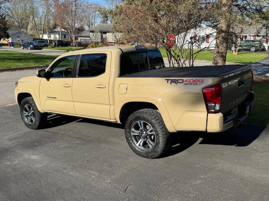 Toyota_Tacoma 