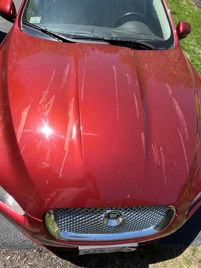 car_image_202x236