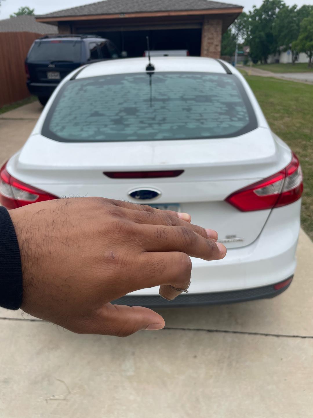 Ford_Focus 