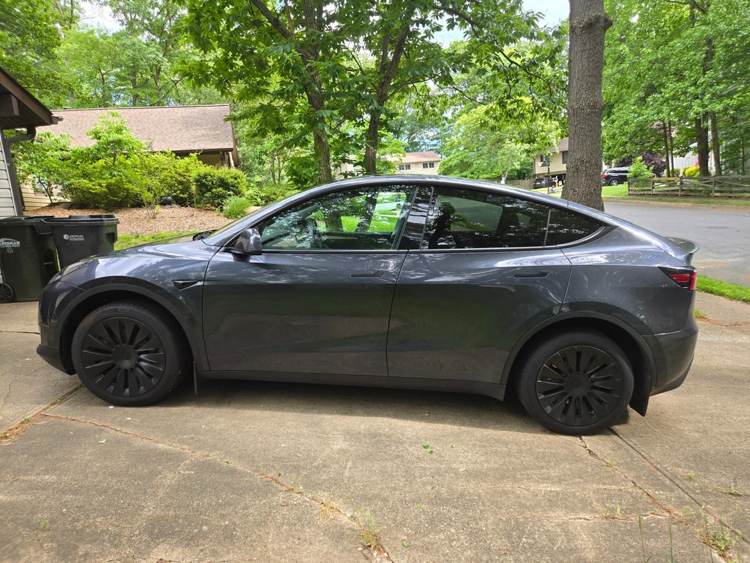 Tesla_Model Y 