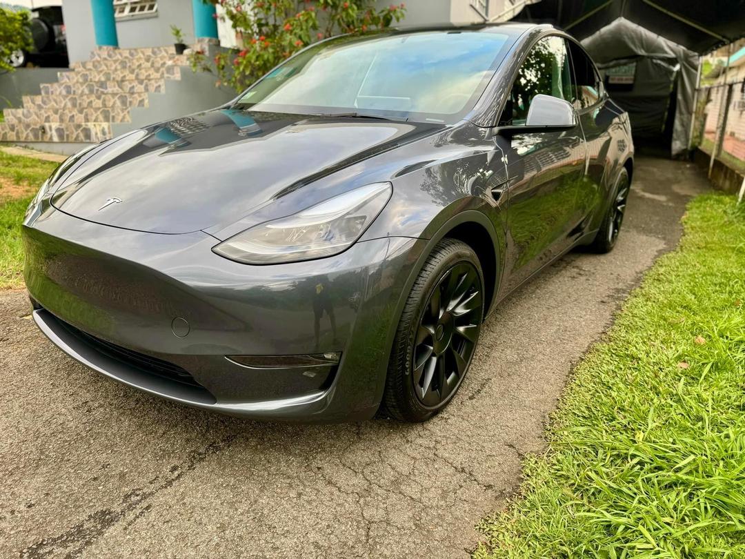 Tesla_Model Y 