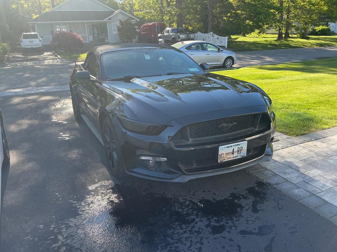 Ford_Mustang 