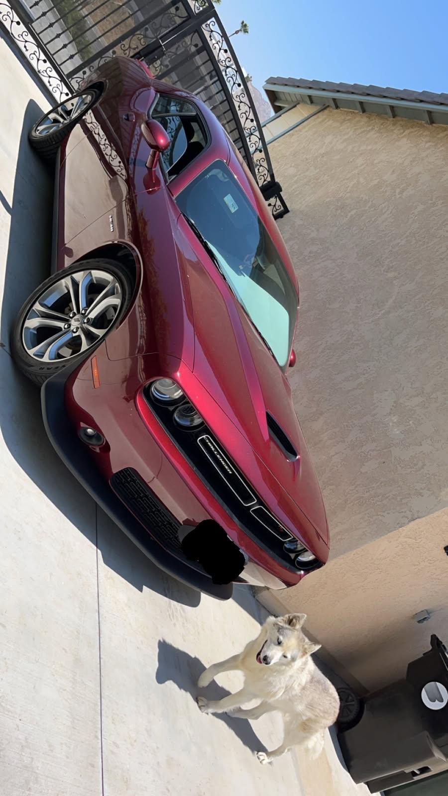 Dodge_Challenger 