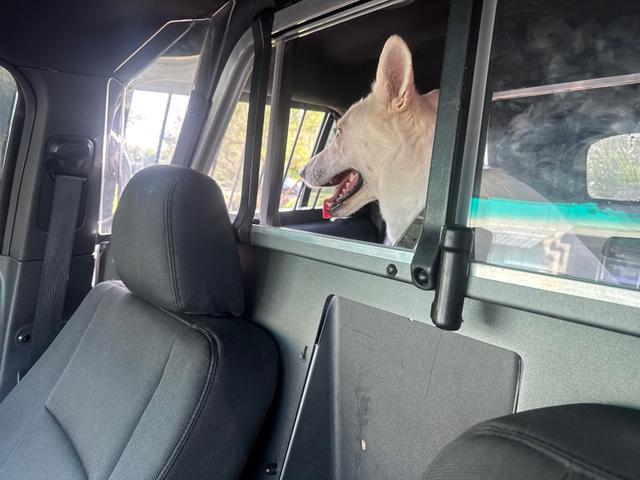 car_image_202x236