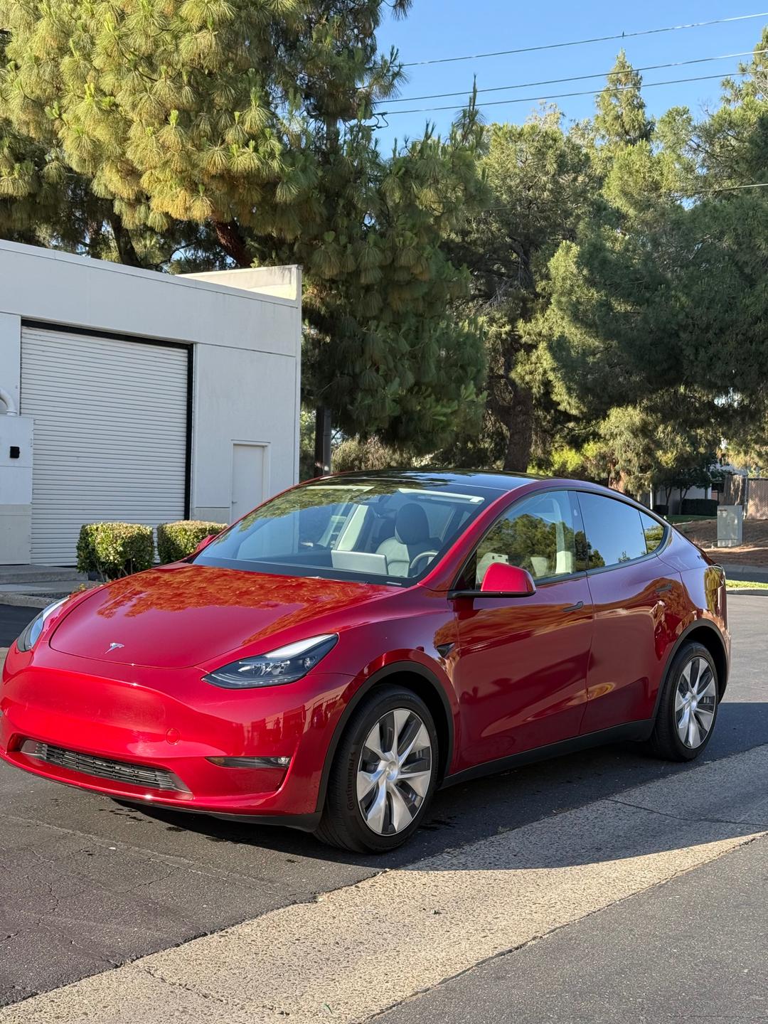 Tesla_Model Y 