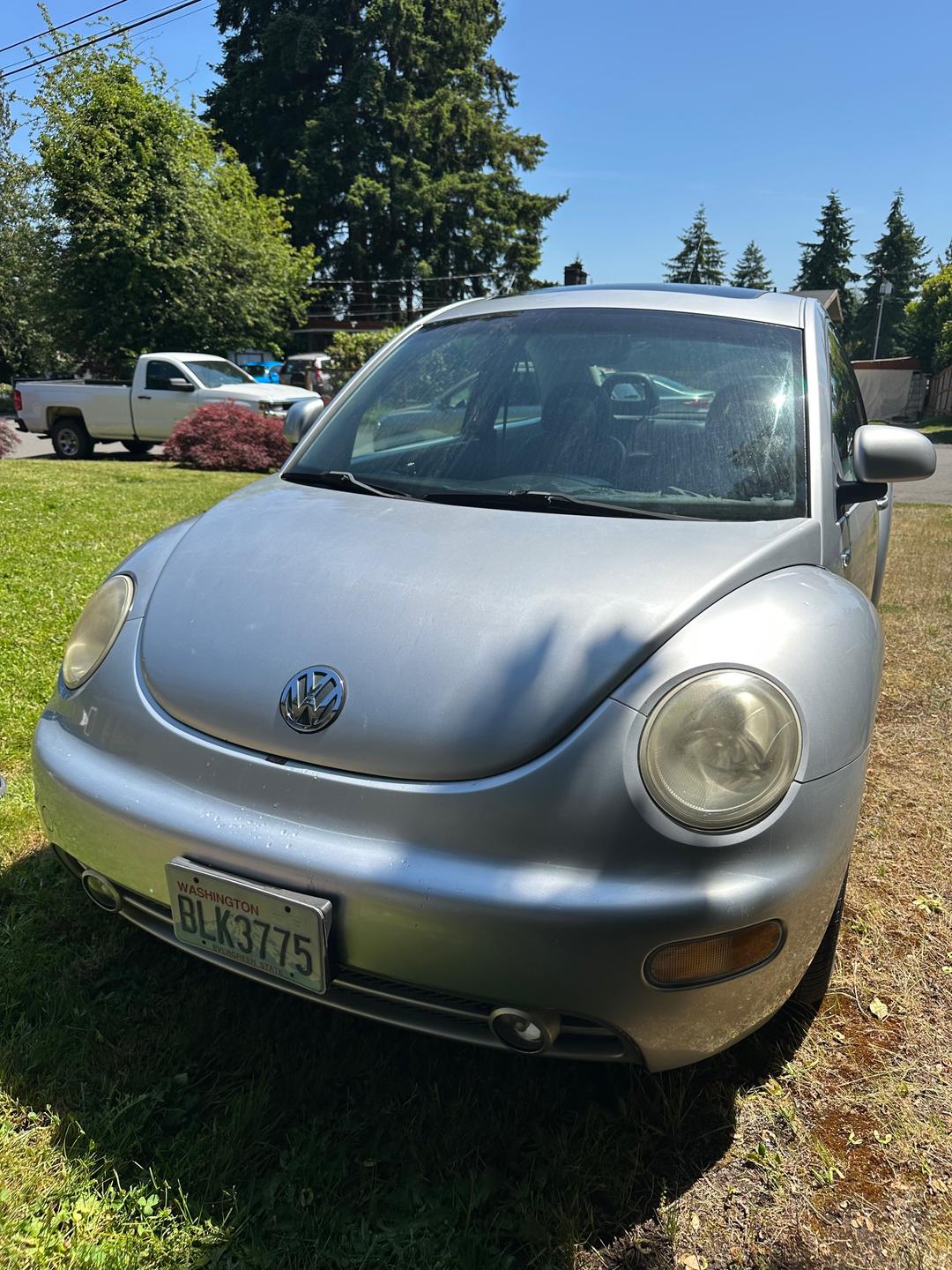 Volkswagen_New Beetle 