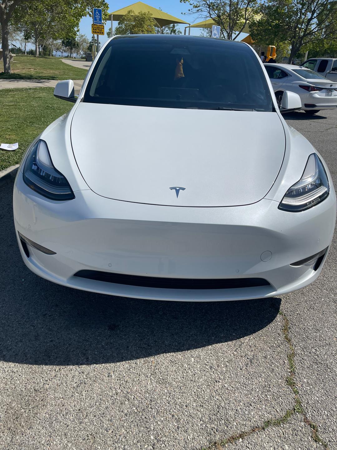 Tesla_Model Y 