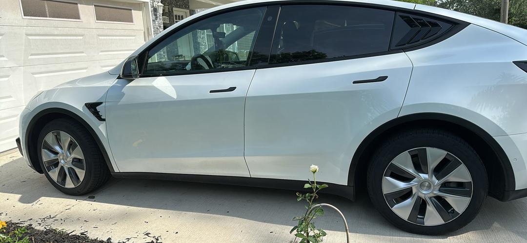 Tesla_Model Y 