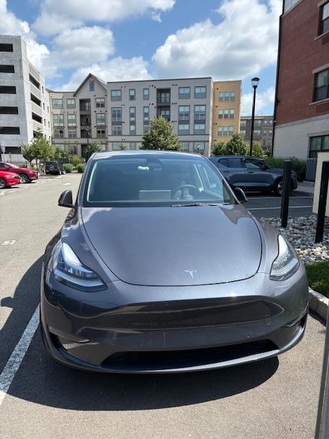 Tesla_Model Y 