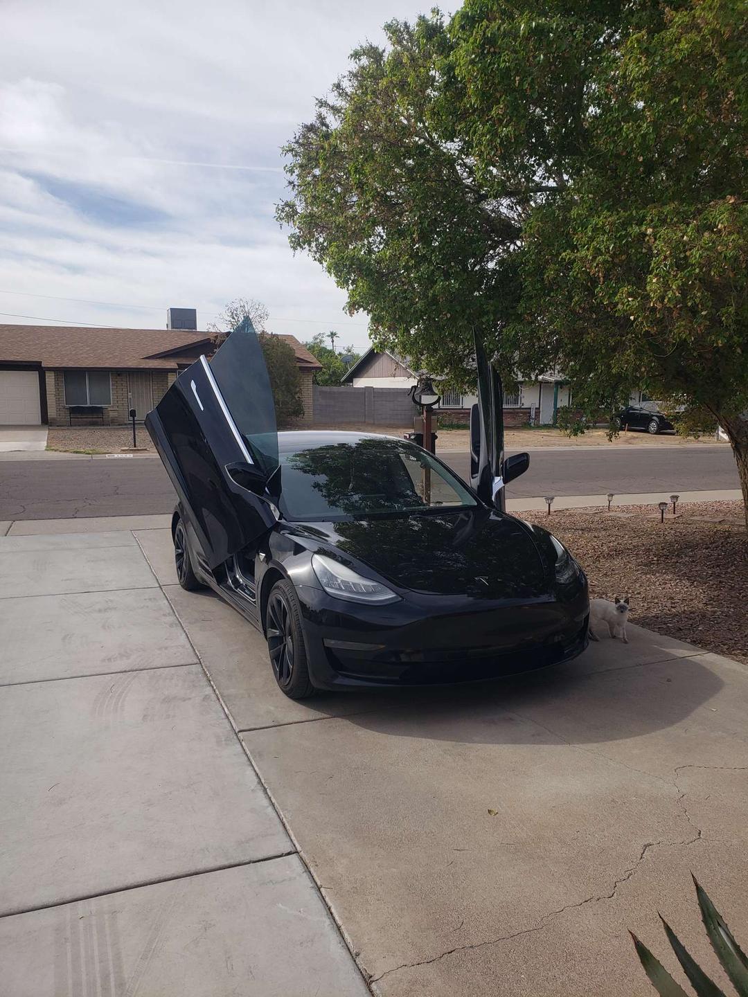 Tesla_Model 3 