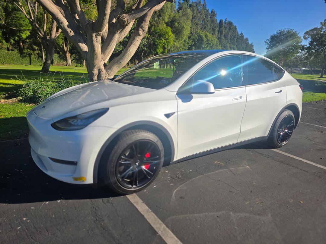 Tesla_Model Y 