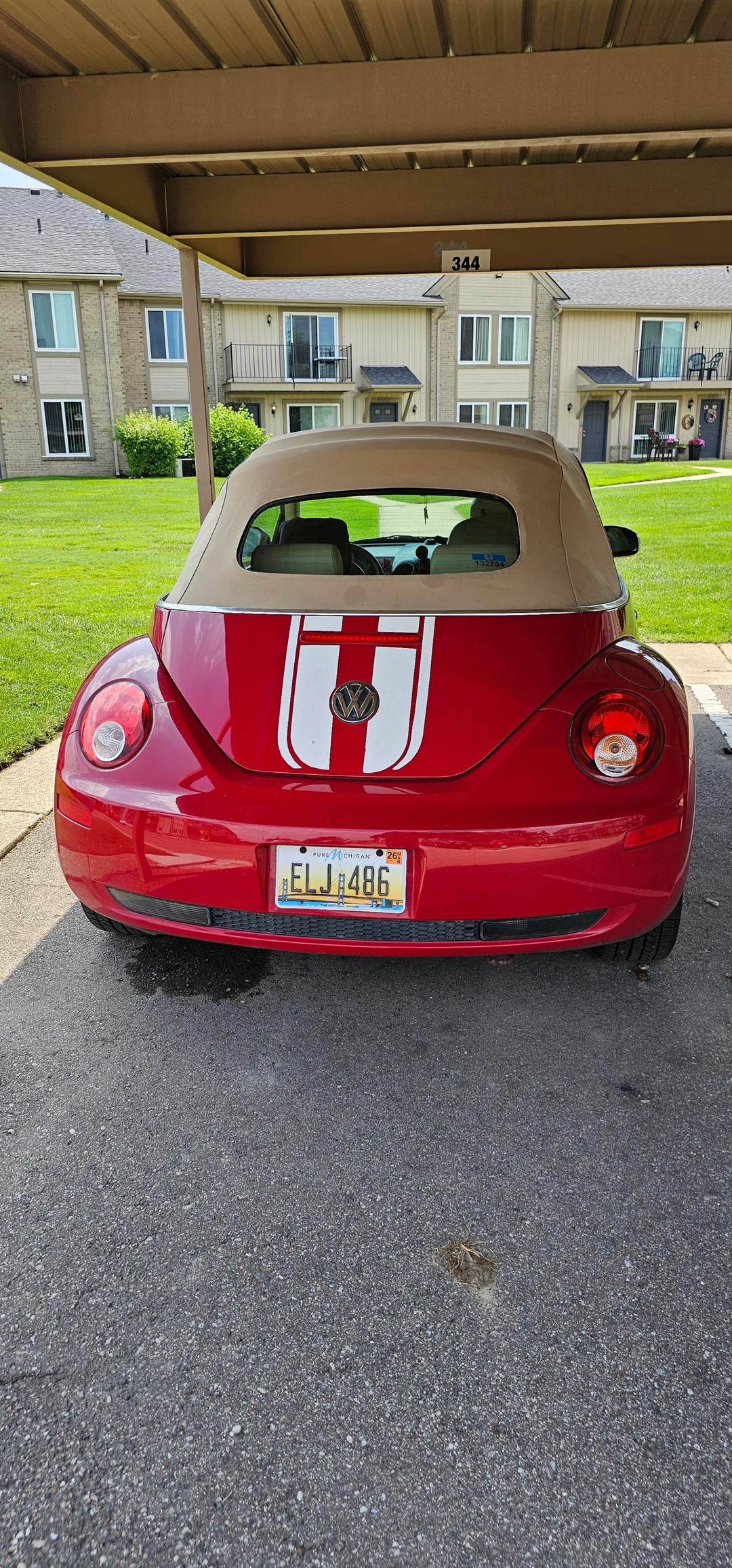 Volkswagen_New Beetle 