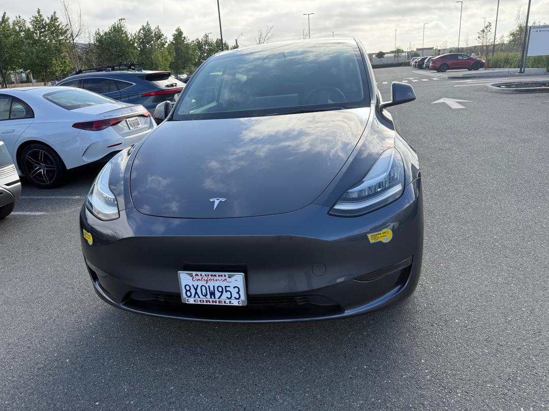 Tesla_Model Y 