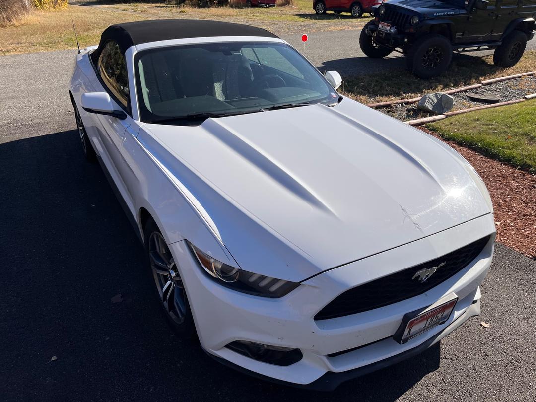 Ford_Mustang 
