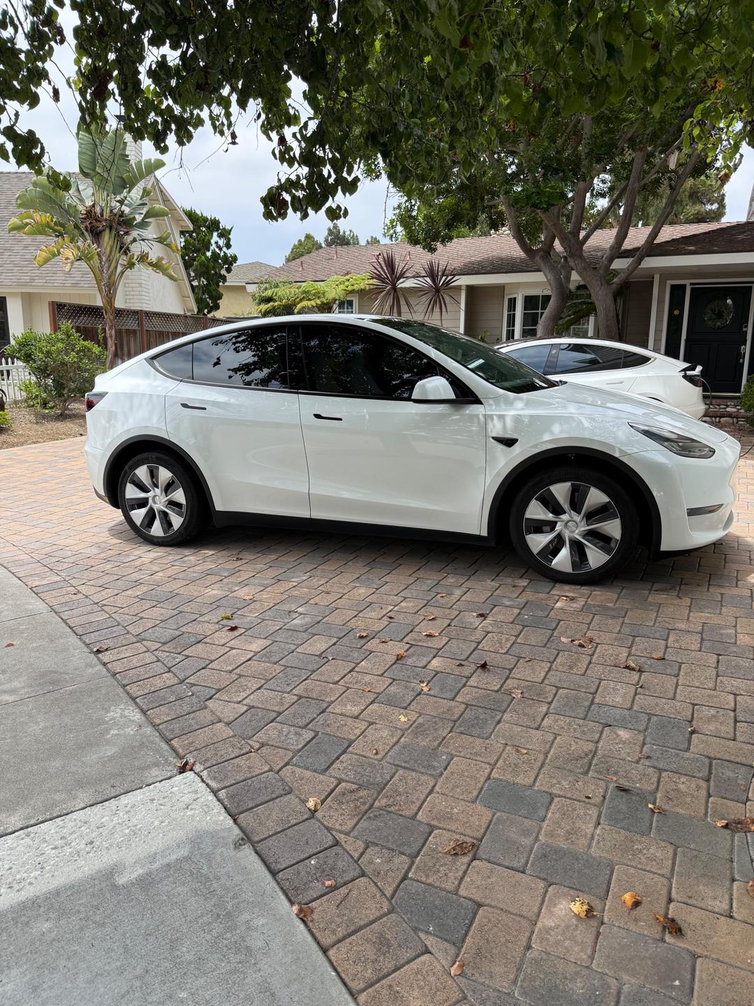 Tesla_Model Y 