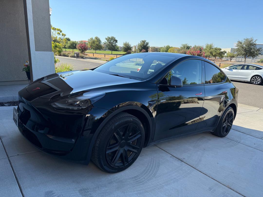 Tesla_Model Y 