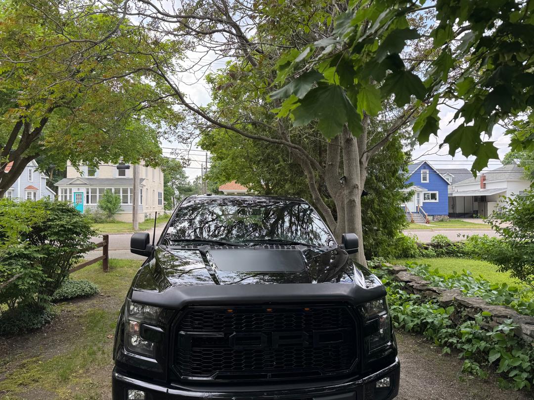 Ford_F-150 