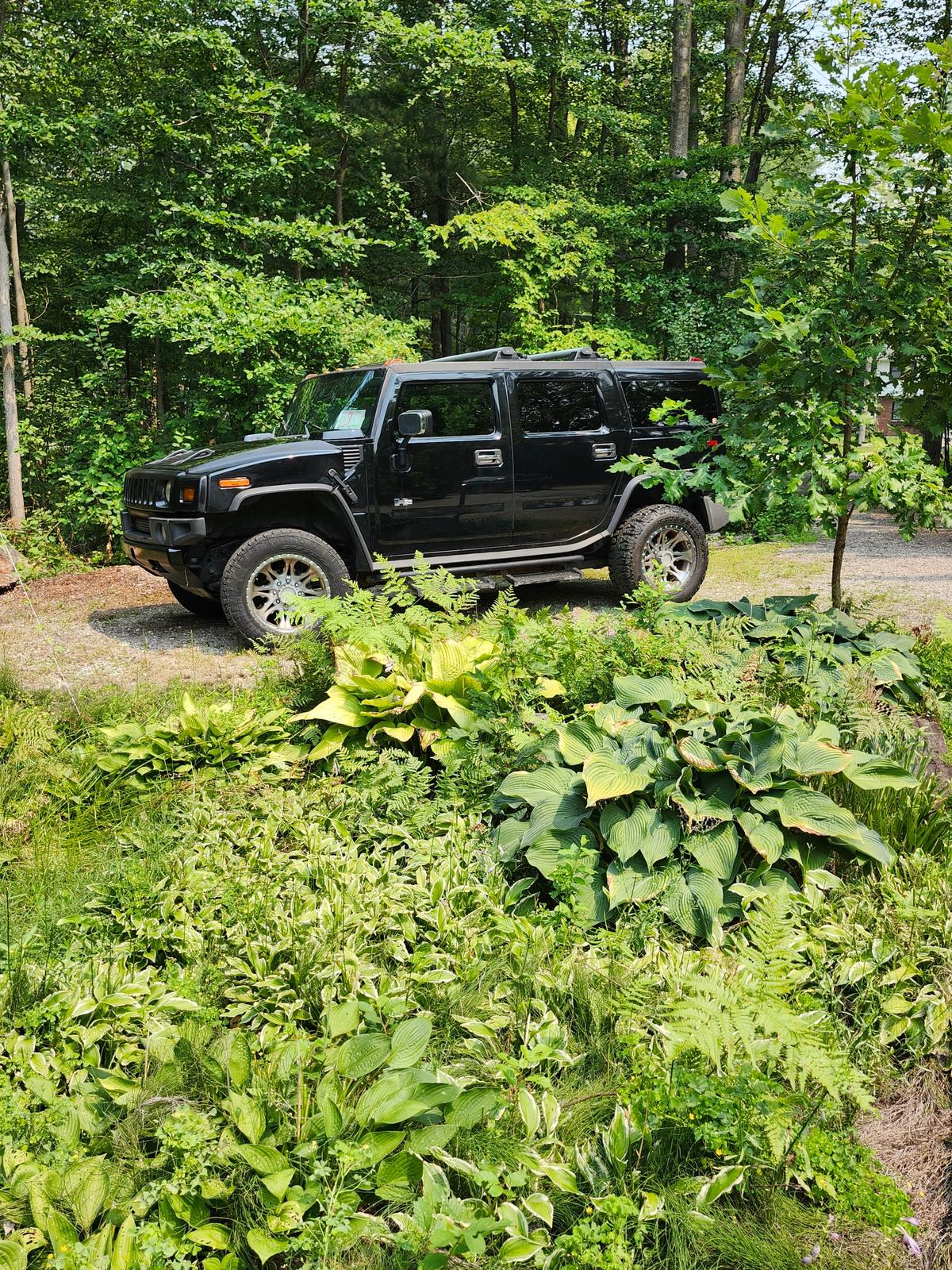 car_image_564x480 - 