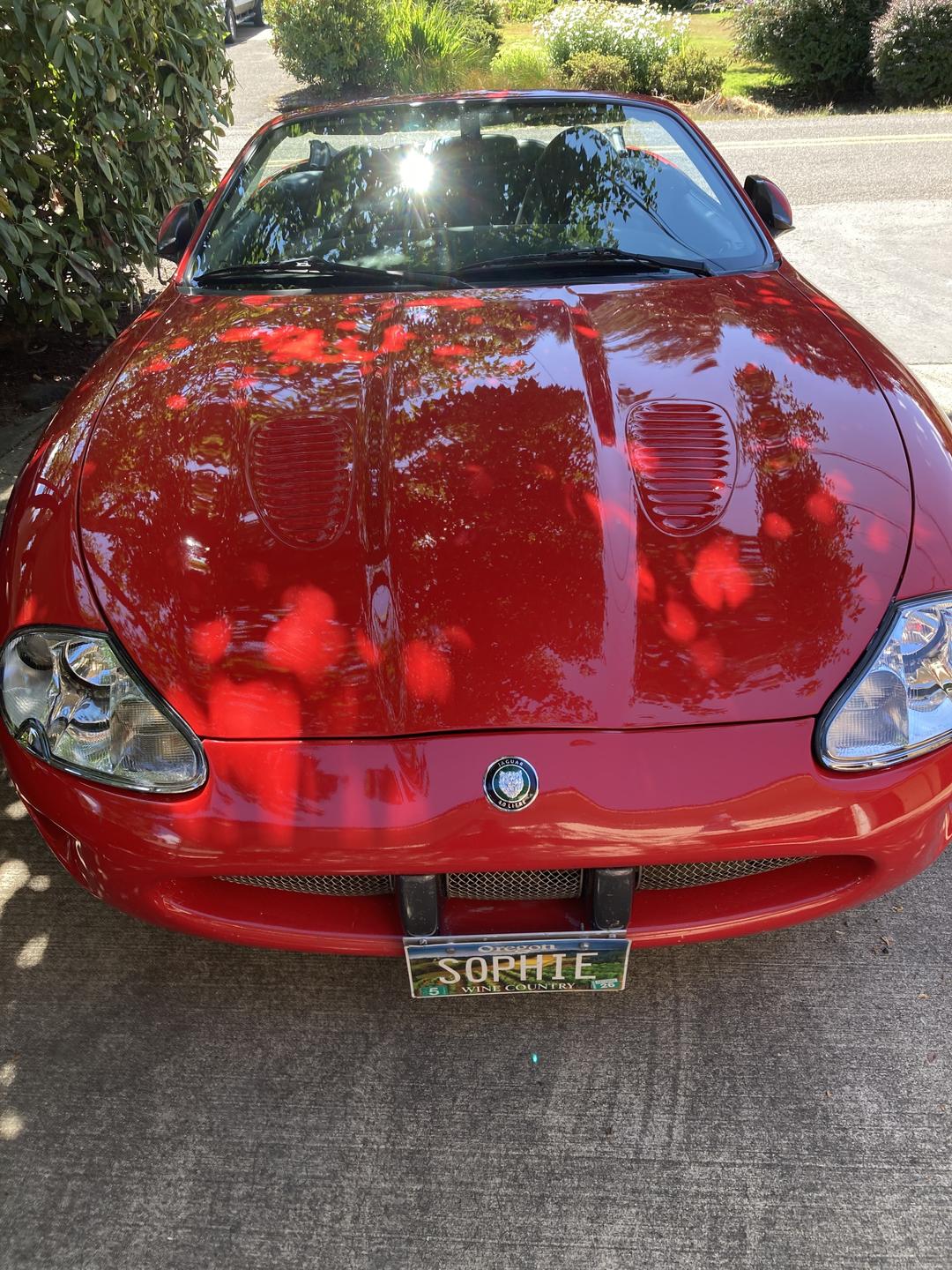 Jaguar_XK 