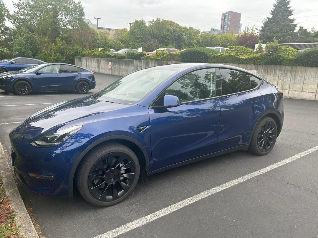 Tesla_Model Y 