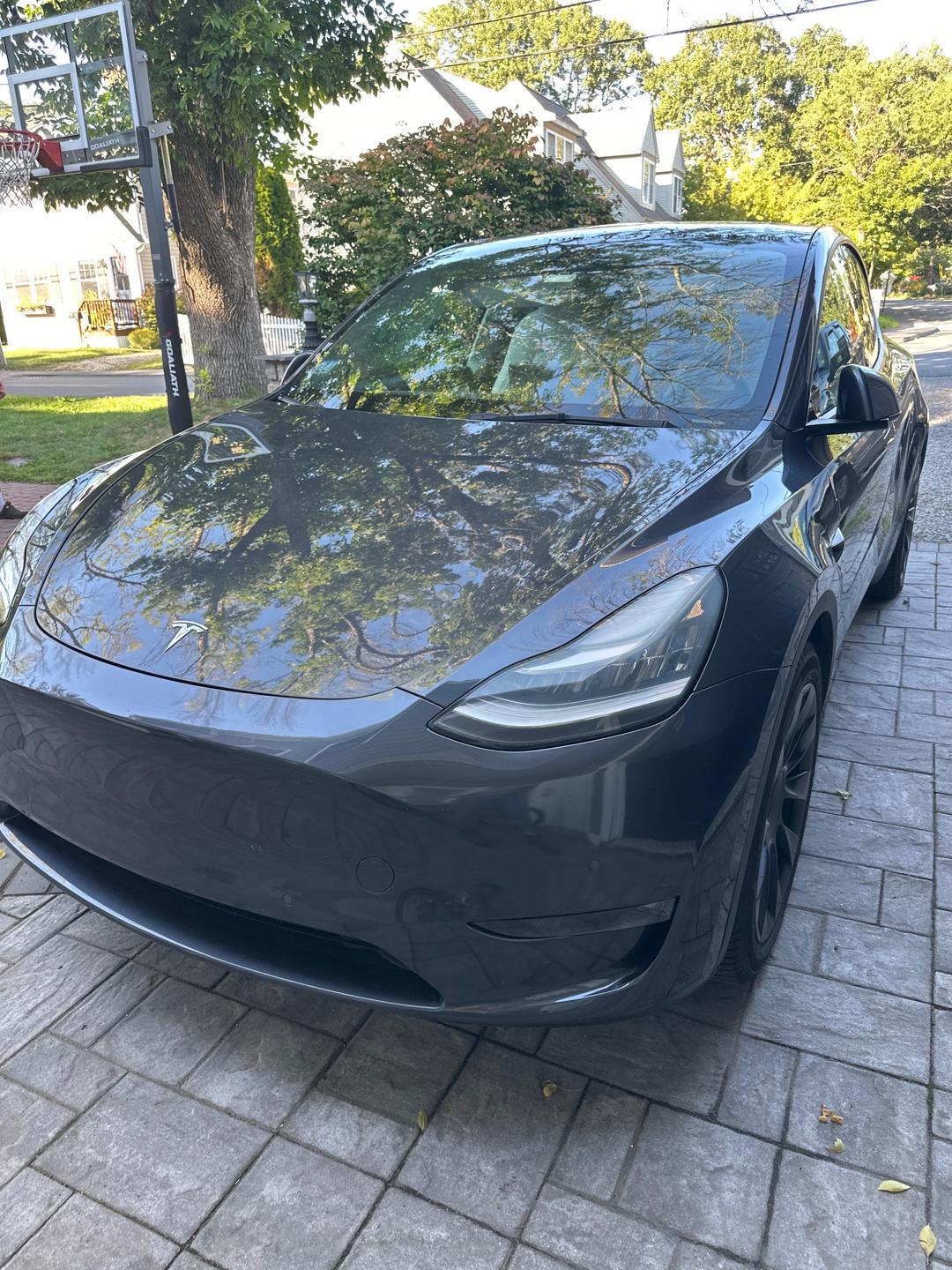 Tesla_Model Y 