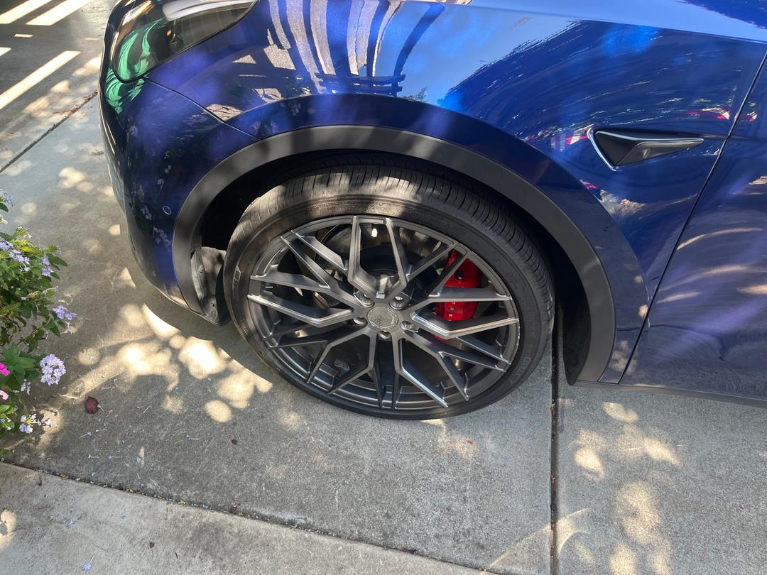 Tesla_Model Y 