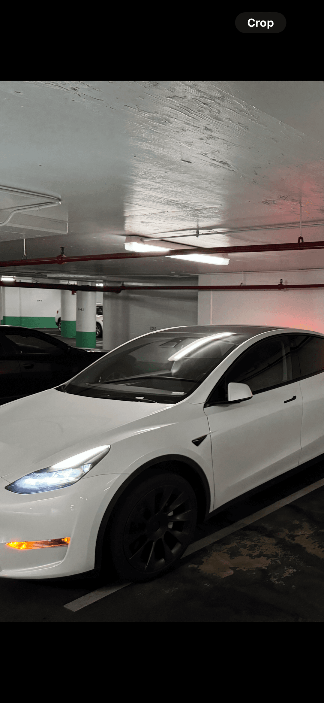 Tesla_Model Y 