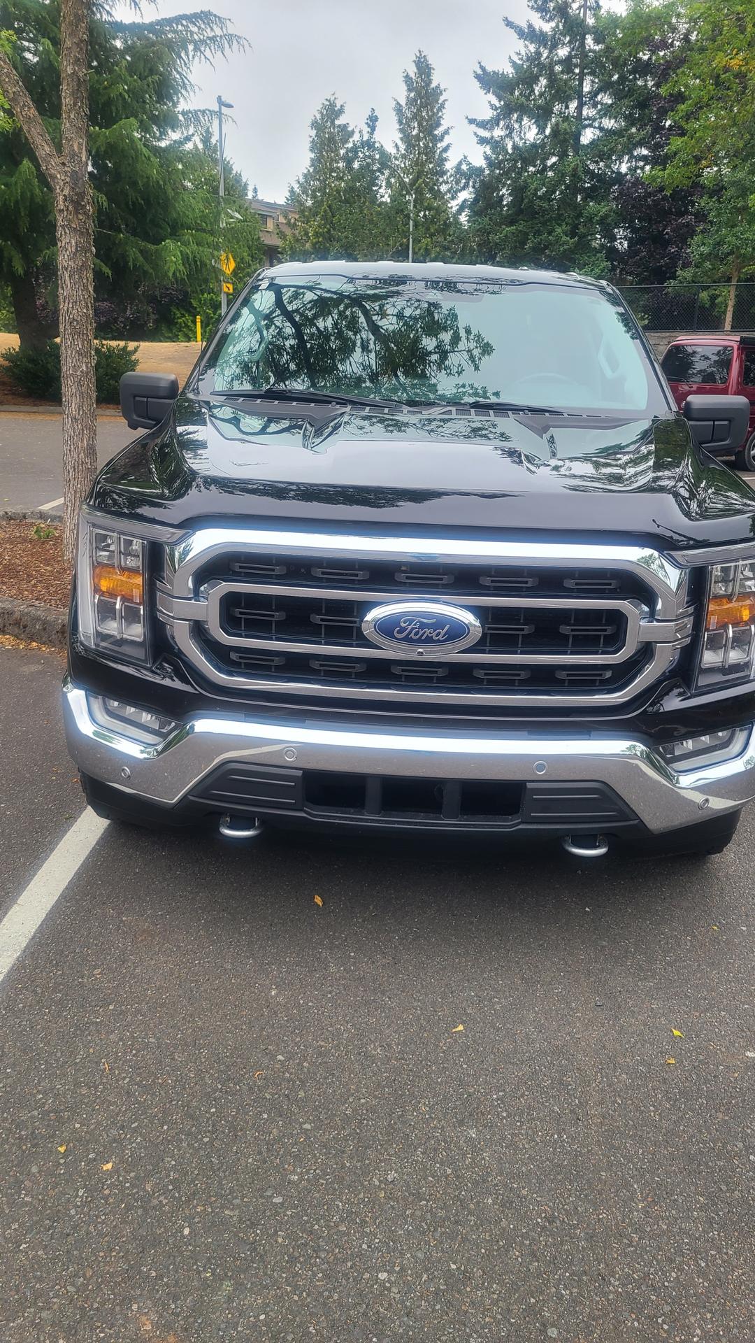 Ford_F-150 