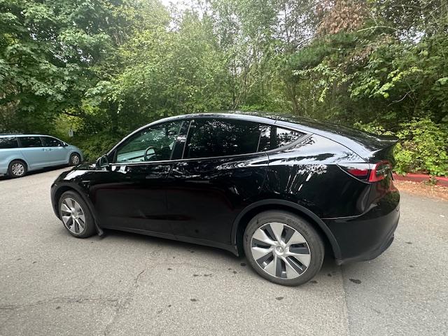 Tesla_Model Y 