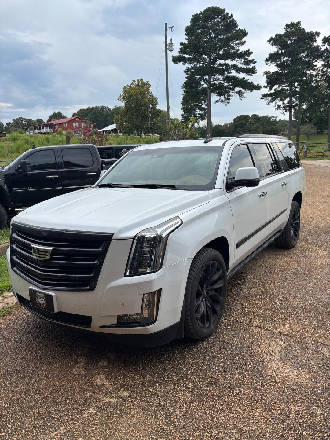 Cadillac_Escalade 