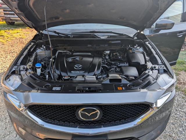car_image_202x236