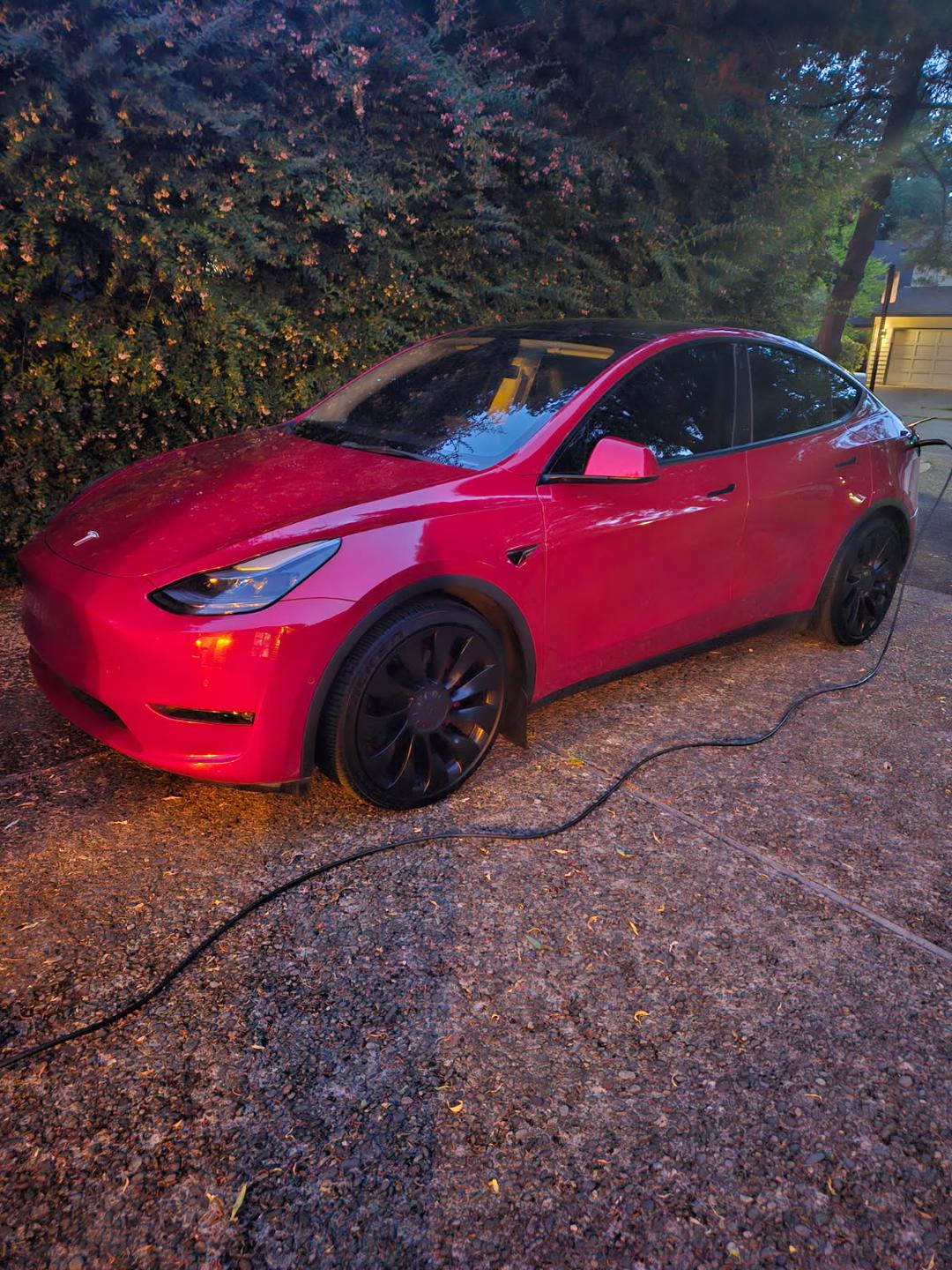 Tesla_Model Y 