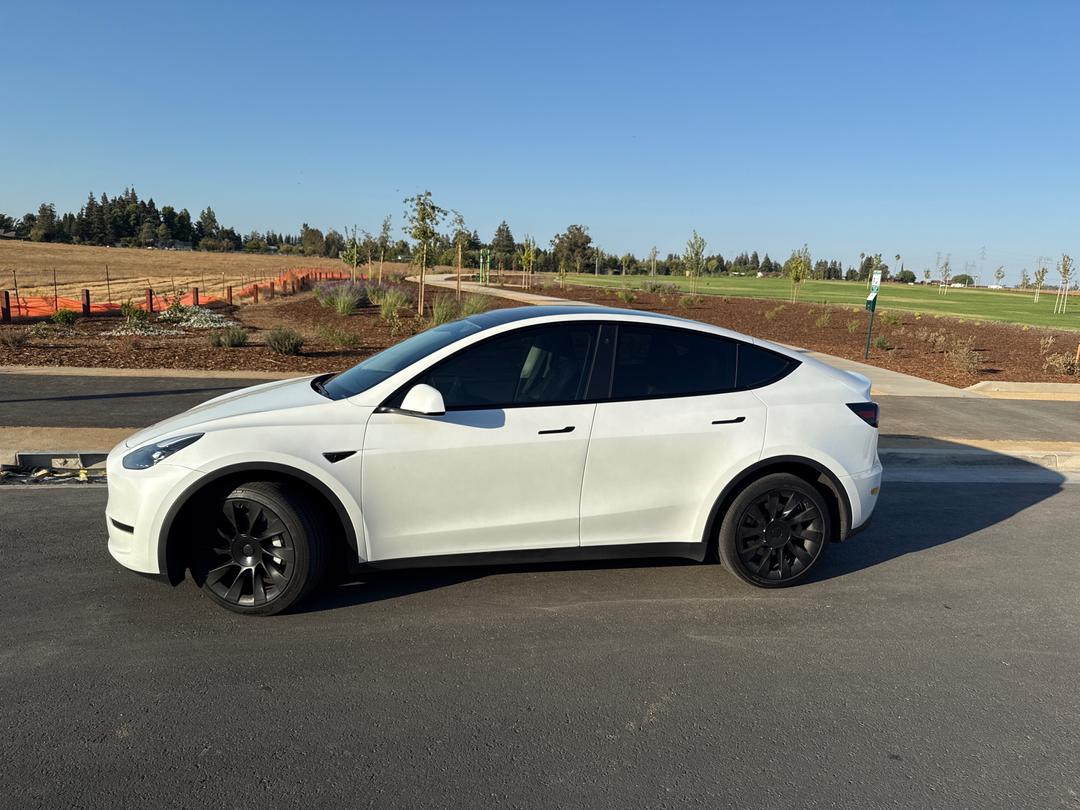 Tesla_Model Y 