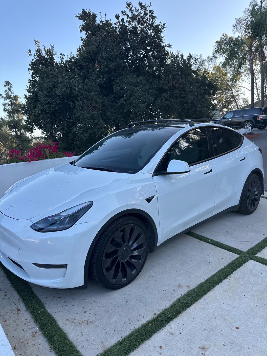 Tesla_Model Y 