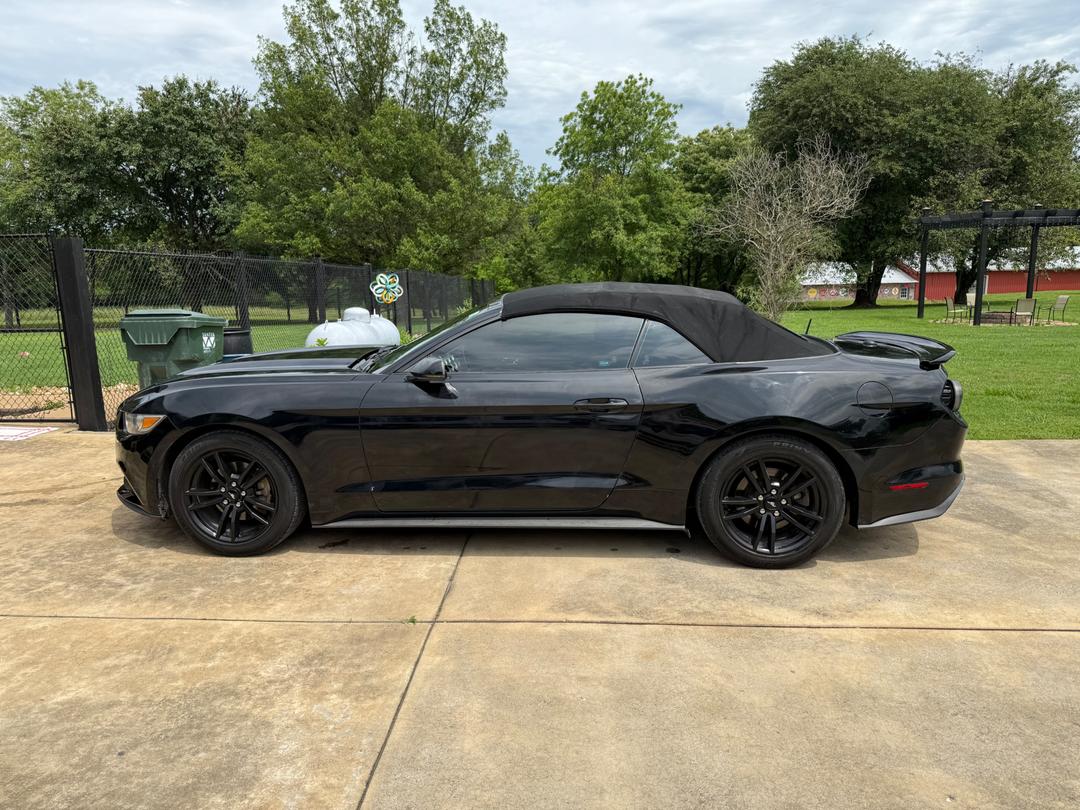 Ford_Mustang 