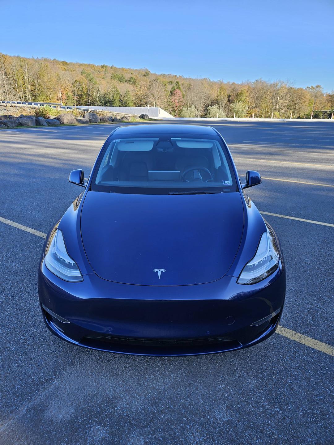 Tesla_Model Y 