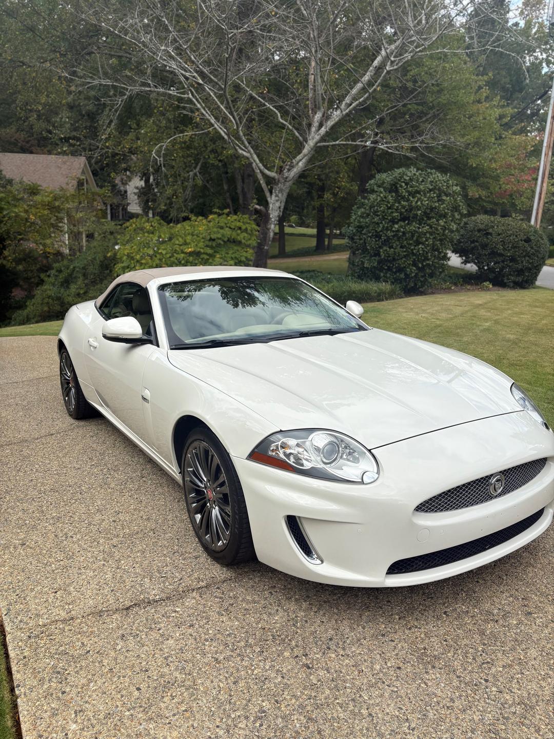 Jaguar_XK 