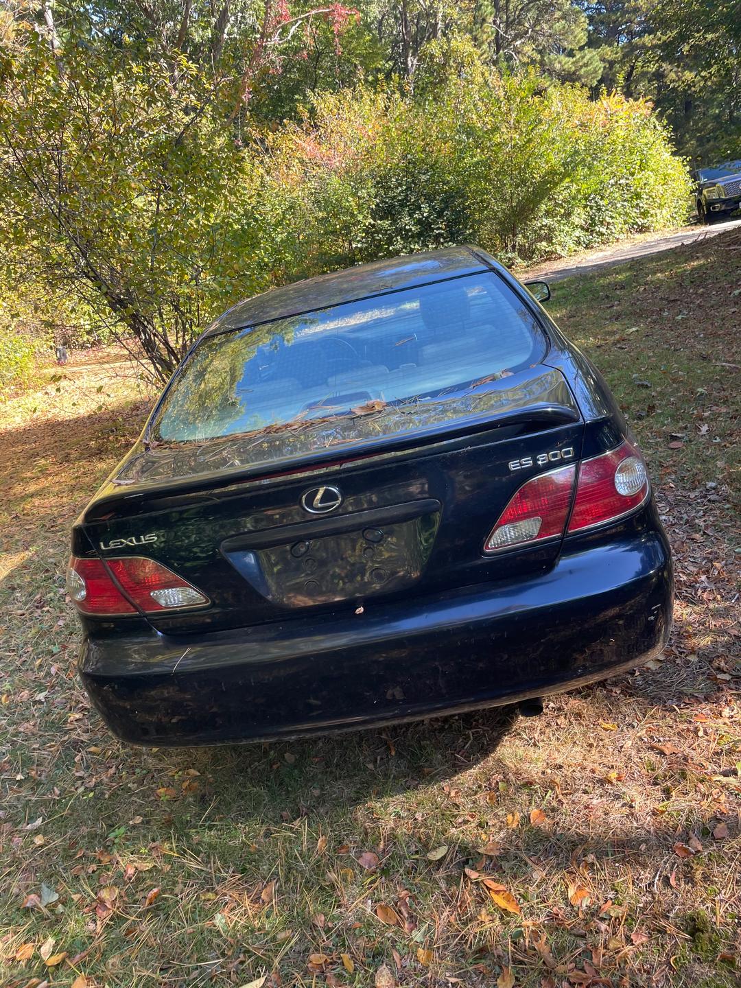 Lexus_ES 300 