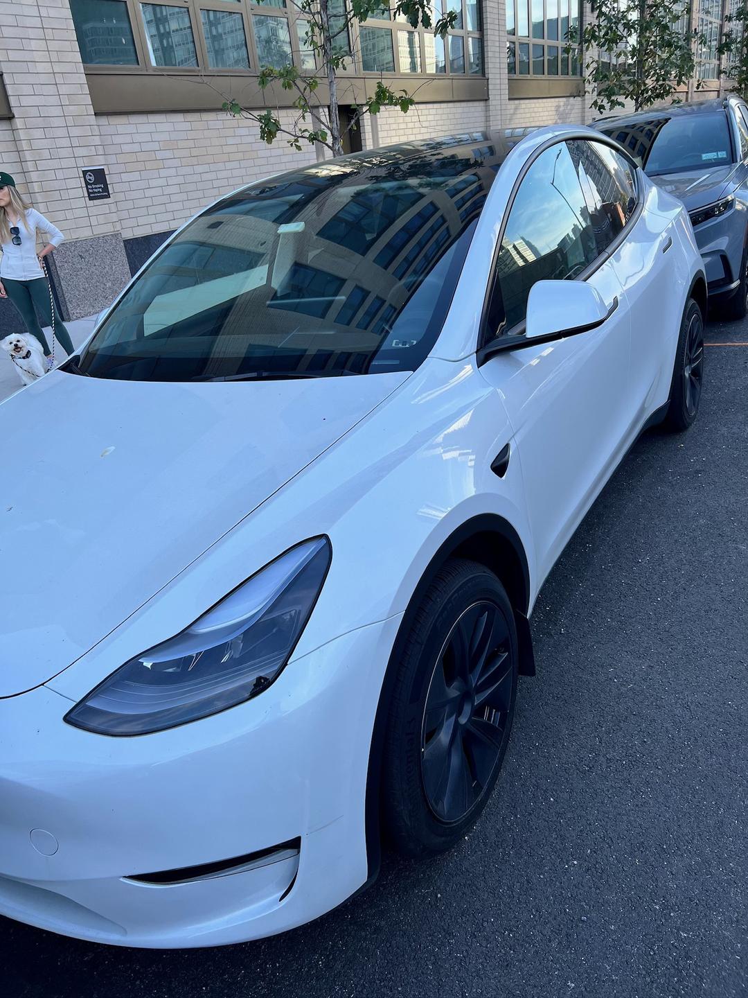 Tesla_Model Y 
